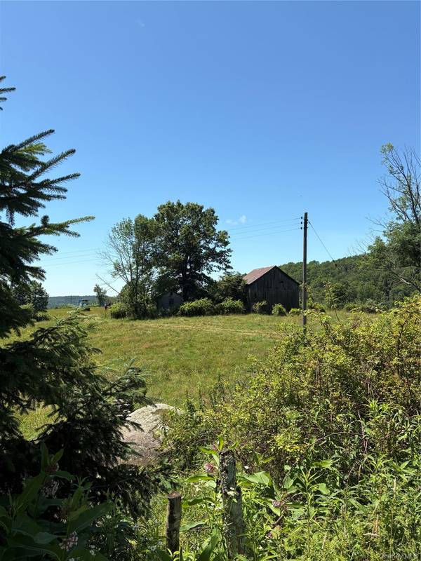 14 Frelich Rd/T R 28, Fremont Center, NY 12736