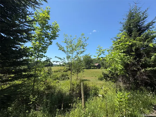 14 Frelich Rd/T R 28, Fremont Center, NY 12736