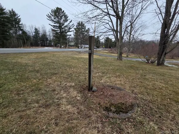 TBD State Route 52, White Sulphur Spring, NY 12787