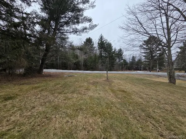 TBD State Route 52, White Sulphur Spring, NY 12787