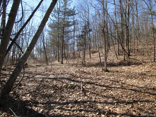 Co Rt 12, New Hampton, NY 10958