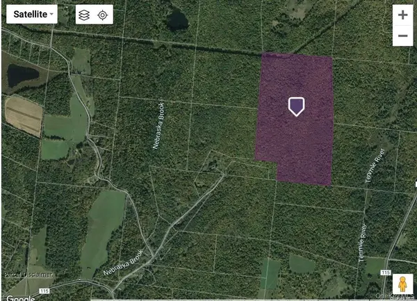 Cr-115, Cochecton, NY 12726