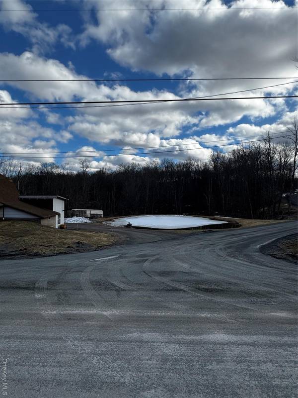 Cole RD, Fallsburg, NY 12733