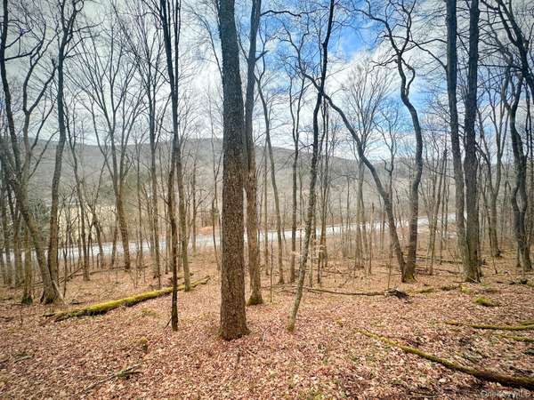 Cr-6, Margaretville, NY 13825