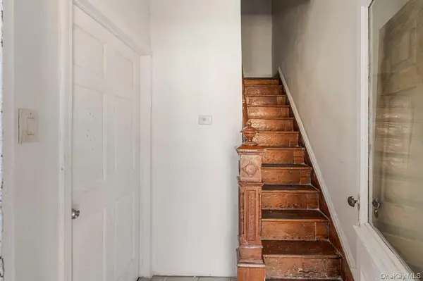 294 Autumn AVE, Brooklyn, NY 11208