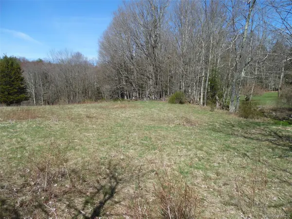Creamery RD, Bethel, NY 12720