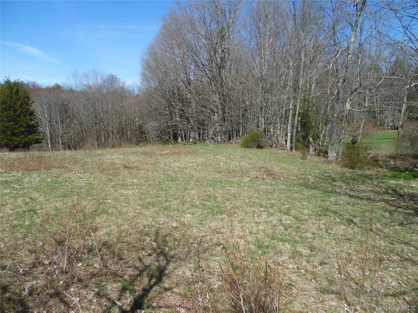 Creamery RD, Bethel, NY 12720