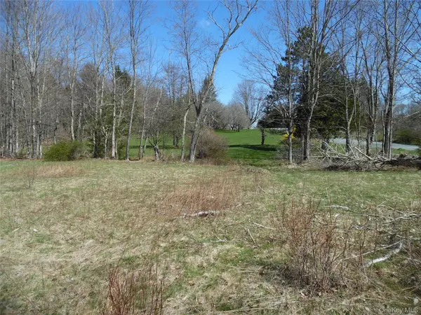 Creamery RD, Bethel, NY 12720