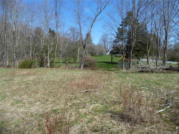 Creamery RD, Bethel, NY 12720