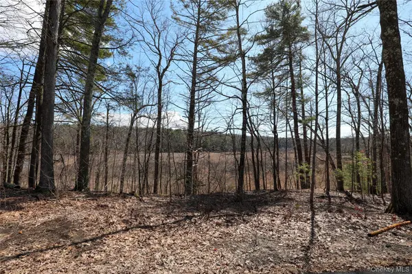 176 Lake RD, Lake Katrine, NY 12449