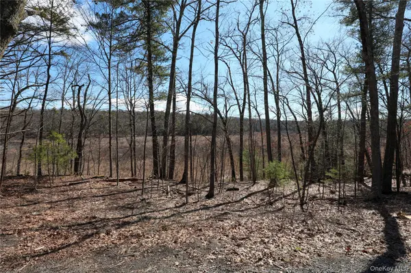 176 Lake RD, Lake Katrine, NY 12449