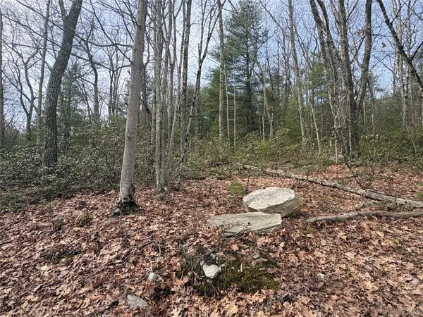 Bennett RD, Napanoch, NY 12458