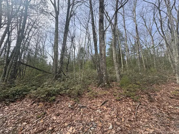 Bennett RD, Napanoch, NY 12458