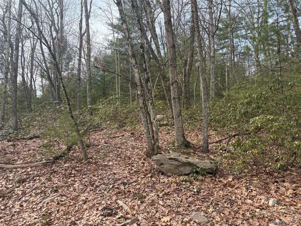 Bennett RD, Napanoch, NY 12458