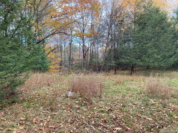 403 & 405 Rock Hill DR, Rock Hill, NY 12775
