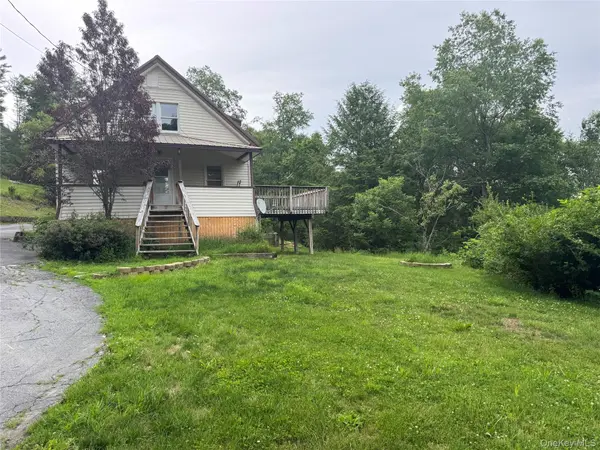 96 White Roe Lake RD, Livingston Manor, NY 12758