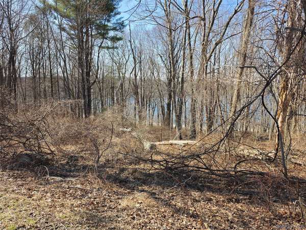 6 Willow RD, Carmel, NY 10512