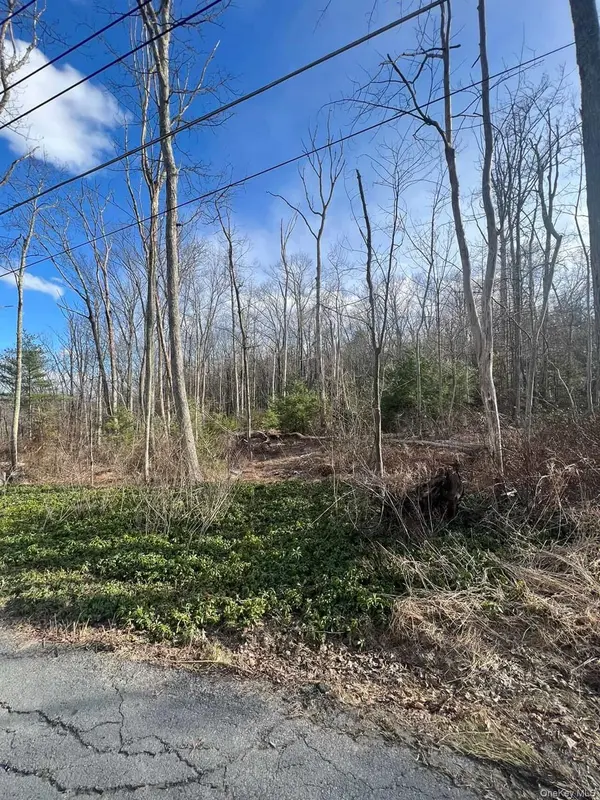 0 Laurel TRL, Wurtsboro, NY 12790