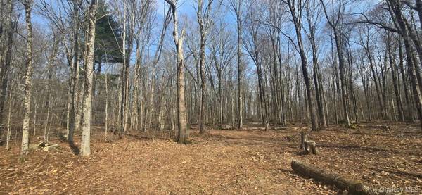 8 Starlight DR, Monticello, NY 12701