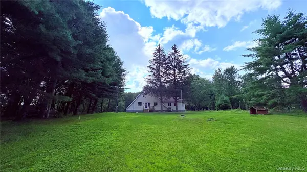 107 Pinewood RD, Cochecton, NY 12726