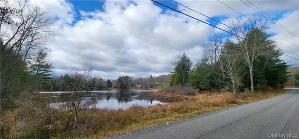 Mongaup RD, Monticello, NY 12701