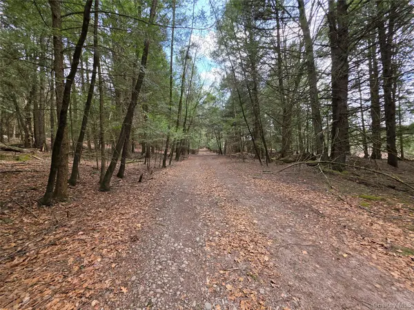 TBD Bobwhite TRL, Mongaup Valley, NY 12762