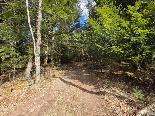 TBD Bobwhite TRL, Mongaup Valley, NY 12762