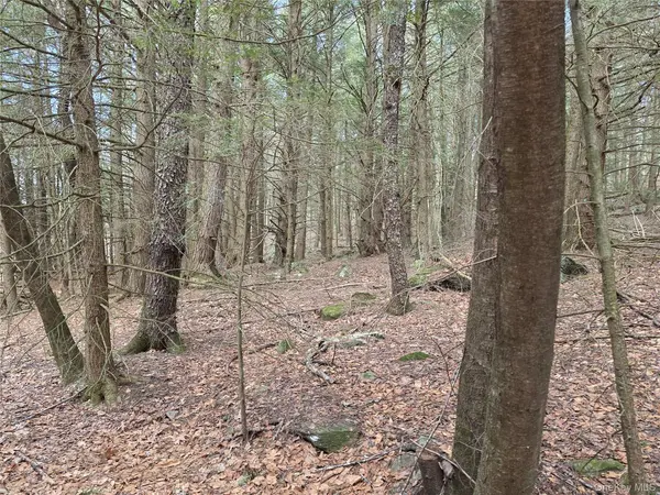 TBD Bobwhite TRL, Mongaup Valley, NY 12762