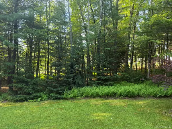 2769 State Route 55, Bethel, NY 12720