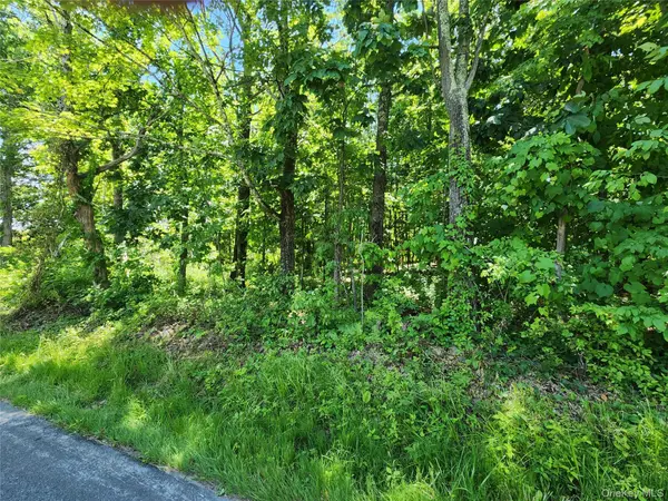 Irish Cape RD, Ellenville, NY 12428