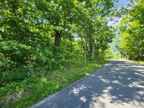 Irish Cape RD, Ellenville, NY 12428
