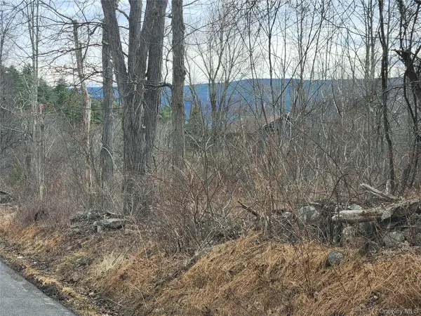 Irish Cape RD, Ellenville, NY 12428