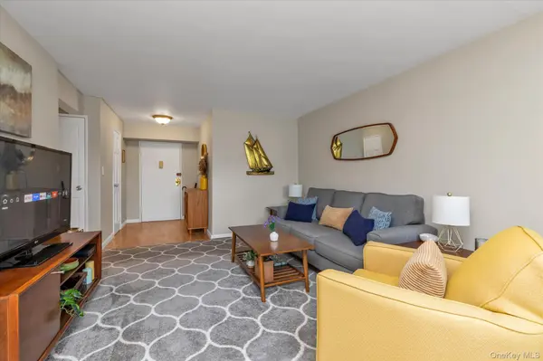 124 S Park AVE #1-P, Rockville Centre, NY 11570