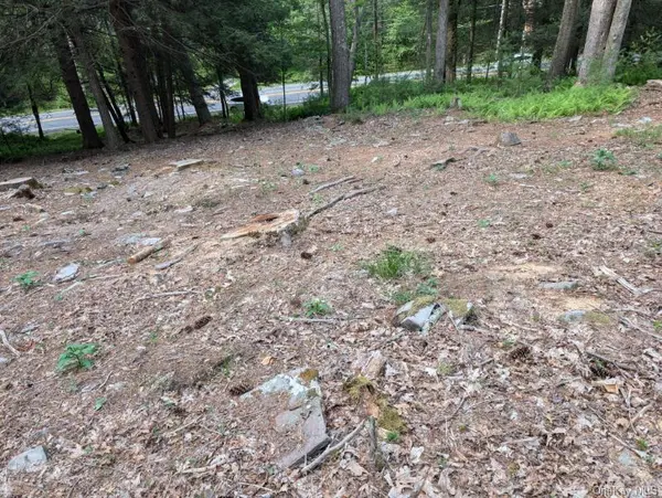 Eldred-Yulan RD, Call Listing Agent, NY 12792