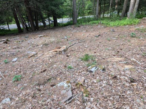 Eldred-Yulan RD, Call Listing Agent, NY 12792