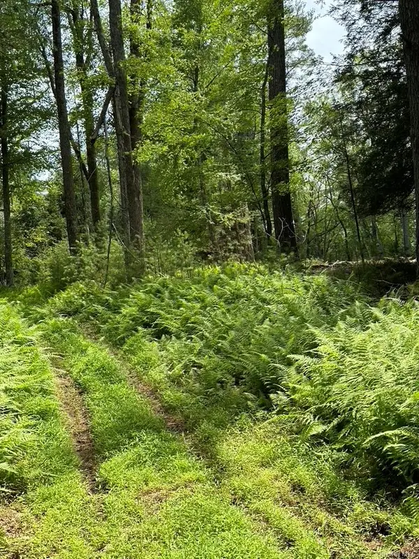 Eldred-Yulan RD, Call Listing Agent, NY 12792
