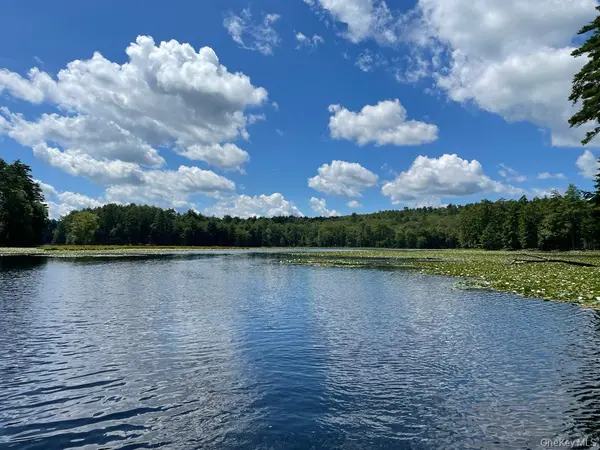 Eldred, NY 12732