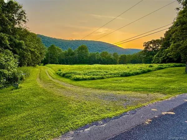 222 Stockport RD, Hancock, NY 13783