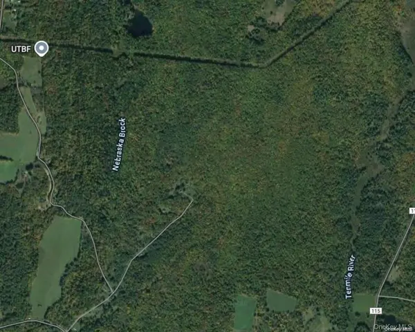 Tr 16, Cochecton, NY 12726