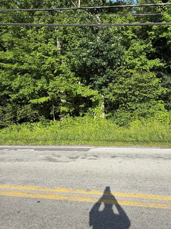 Wells RD, Newburgh, NY 12550
