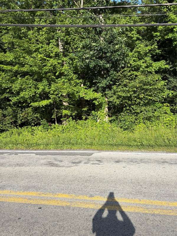 Wells RD, Newburgh, NY 12550