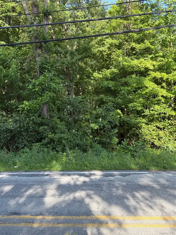 Wells RD, Newburgh, NY 12550