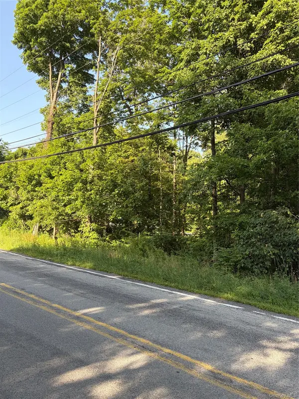 Wells RD, Newburgh, NY 12550