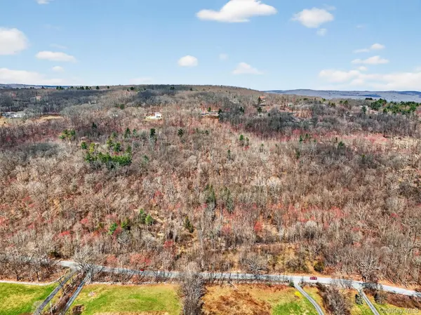 Horton RD, Bloomingburg, NY 12721