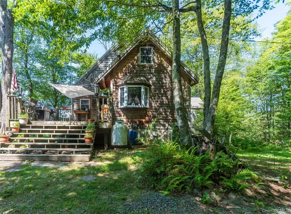 885 Grandview RD, Hancock, NY 13783