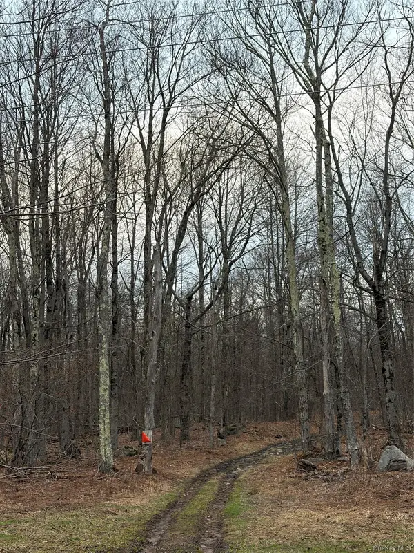 Fox Mountain, Livingston Manor, NY 12758