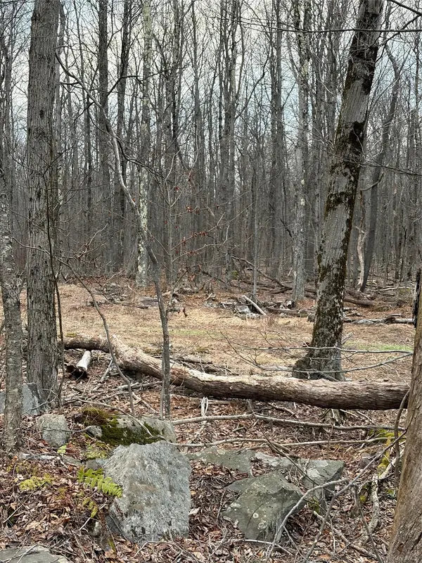 Fox Mountain, Livingston Manor, NY 12758