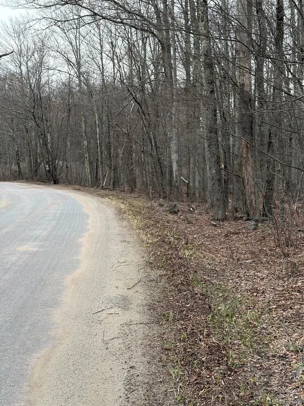 Fox Mountain, Livingston Manor, NY 12758