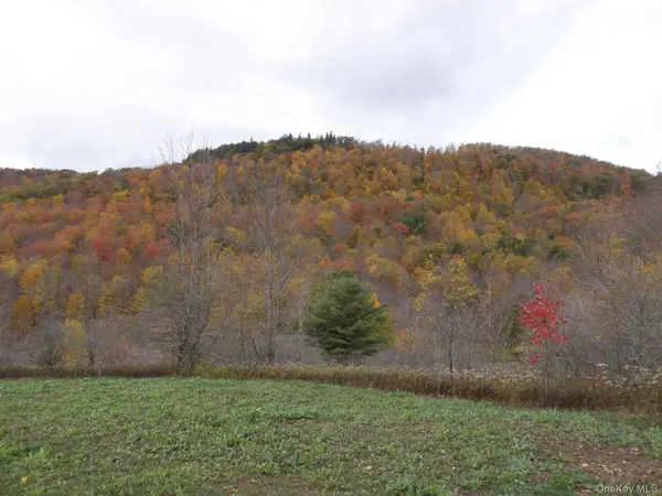 Gregory Hollow RD, Hamden, NY 13782