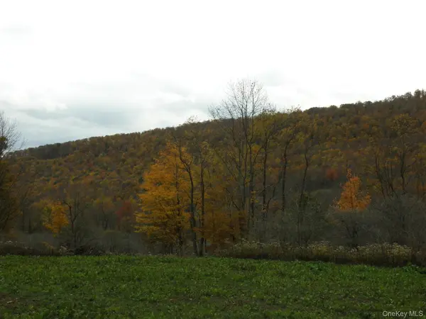 Gregory Hollow RD, Hamden, NY 13782